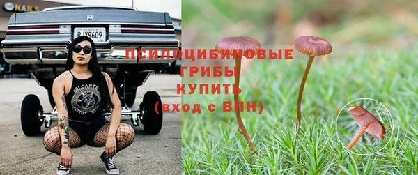 a pvp Алексин