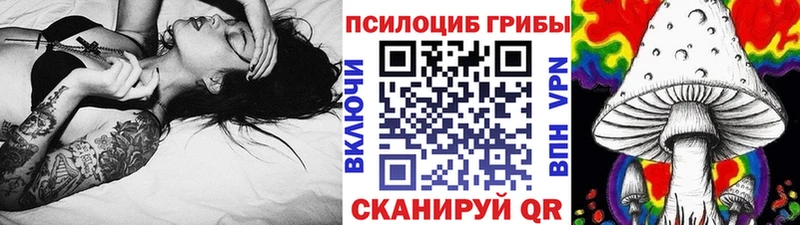 Псилоцибиновые грибы Cubensis  закладка  Суджа 